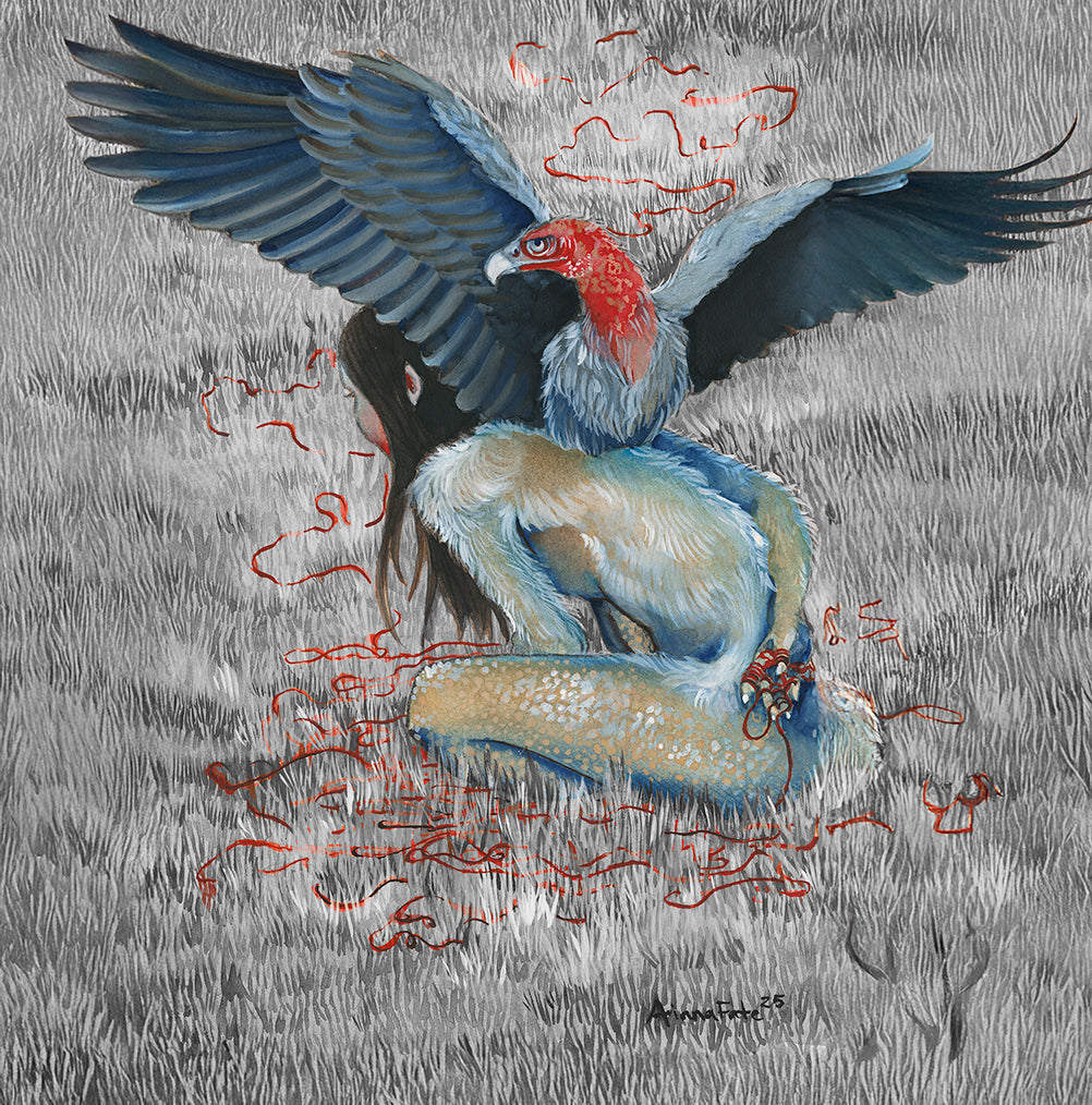 VULTURES Vibe Collection
